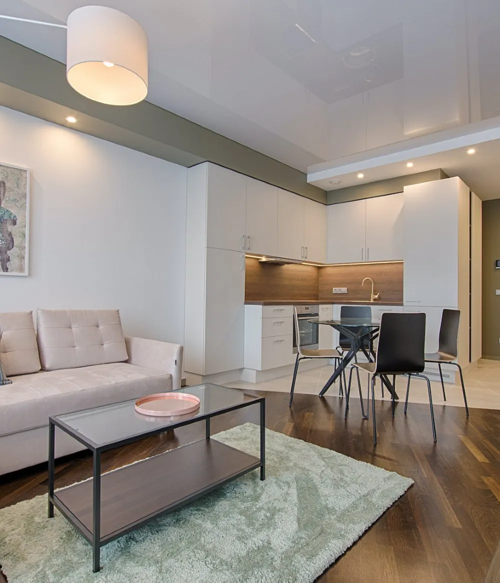 An apartment's open-concept living room and kitchen